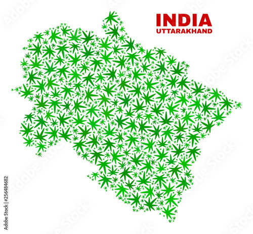 Vector cannabis Uttarakhand State map collage. Concept with green weed leaves for weed legalize campaign. Vector Uttarakhand State map is formed of cannabis leaves.
