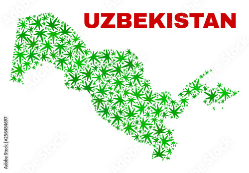 Vector marijuana Uzbekistan map mosaic. Concept with green weed leaves for marijuana legalize campaign. Vector Uzbekistan map is composed with weed leaves.