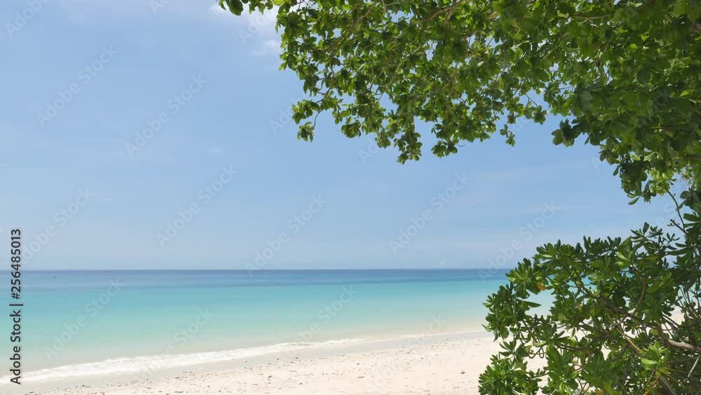locked shot of scenic paradise beach with blue sky, turquoise crystal clear water and white yellow clean sand beach on a tropical hide away, green jungle tree in foreground, no people locked shot of scenic paradise beach with blue sky, turquoise crystal clear water and white yellow clean sand beach on a tropical hide away, green jungle tree in foreground, no people