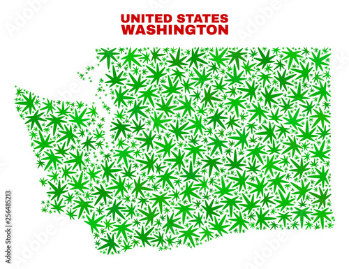 Vector cannabis Washington State map mosaic. Template with green weed leaves for weed legalize campaign. Vector Washington State map is created with weed leaves.
