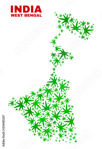 Vector marijuana West Bengal State map mosaic. Concept with green weed leaves for marijuana legalize campaign. Vector West Bengal State map is created with weed leaves.