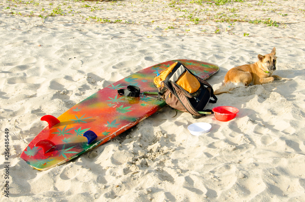 A dog is watching over a surfboard and a backpack on a sandy beach.
