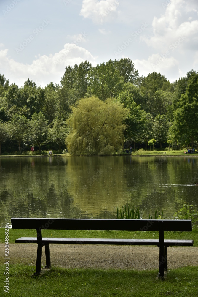Banc en face de l'arbre au feuillage clair miroitant dans l'étang principal du domaine provincial de Vrijbroekpark à Malines Banc en face de l'arbre au feuillage clair miroitant dans l'étang principal du domaine provincial de Vrijbroekpark à Malines