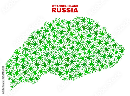 Vector cannabis Wrangel Island map mosaic. Concept with green weed leaves for cannabis legalize campaign. Vector Wrangel Island map is formed with cannabis leaves.