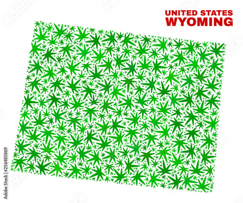 Vector marijuana Wyoming State map collage. Concept with green weed leaves for weed legalize campaign. Vector Wyoming State map is designed of weed leaves.