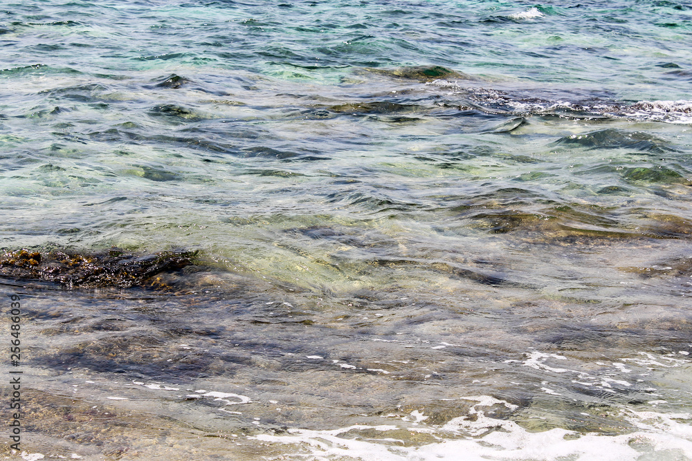 sea sea