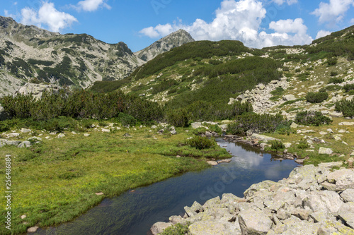 Summer landscape of Muratov peak and mountain river  Pirin Mountain  Bulgaria