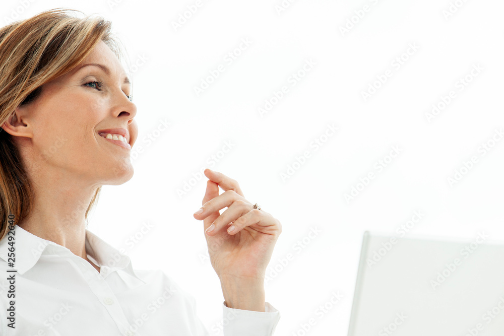 woman using laptop - corporate executive businesswoman with computer woman using laptop - corporate executive businesswoman with computer