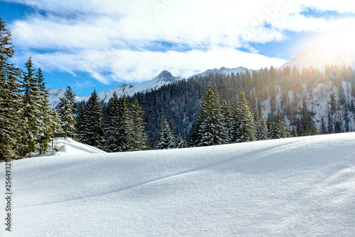 Schneebedeckte Berglandschaft in Tirol
