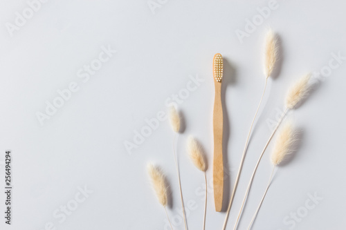 Wooden toothbrush and grass ears