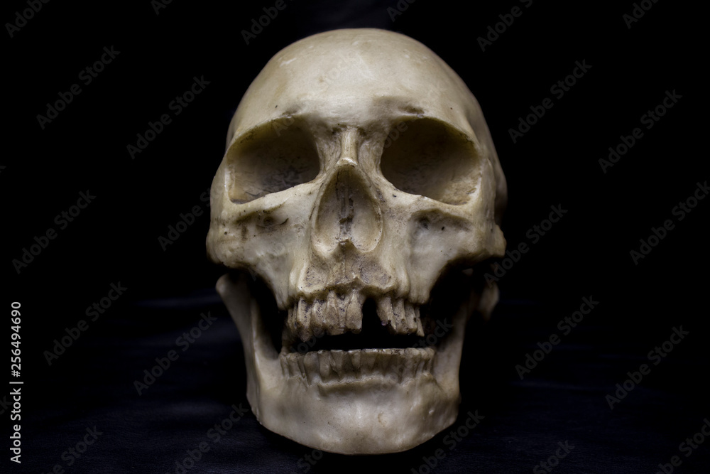 A human skull with a toothless mouth. Isolated on black. A human skull with a toothless mouth. Isolated on black.