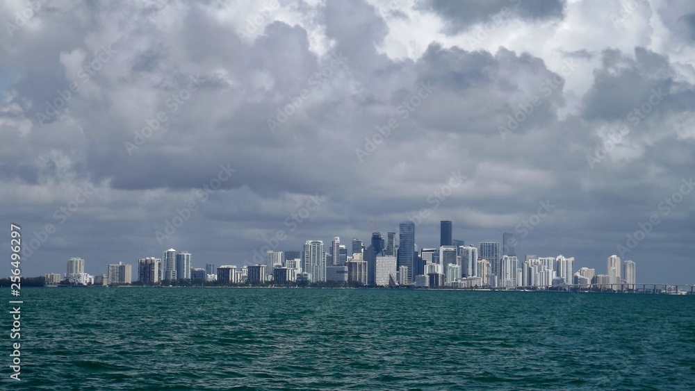 Naklejka premium Miami Skyline