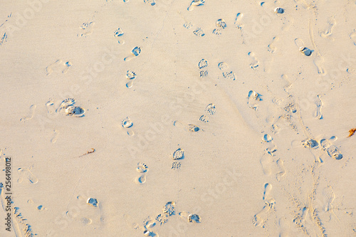 footsteps at the beach as vacation symbol