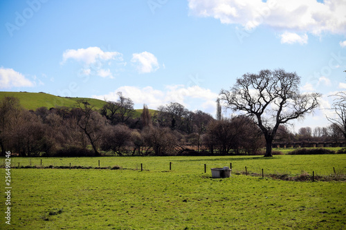 Devon fields and countryside
