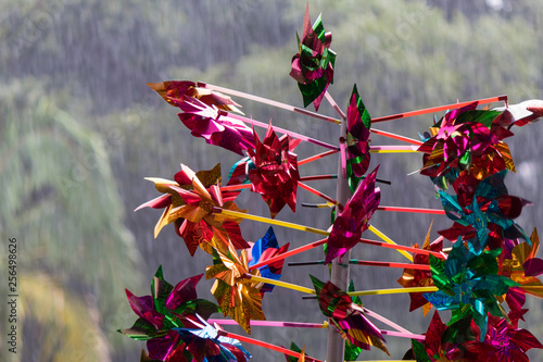 Colorful Pinwheel during a Heavy Rain with Trees Background - Sao Paulo, Brazil © Pablo Fernandes