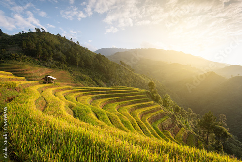Beautiful landscape rice fields on terraced of Mu Cang Chai © surachetkhamsuk