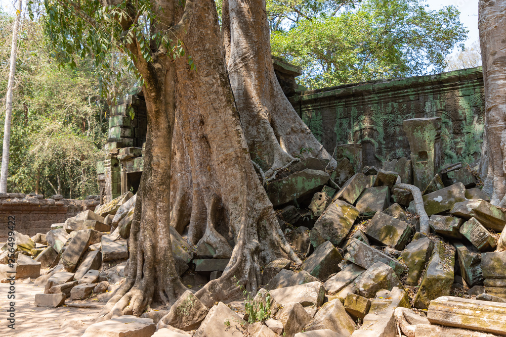 Ta Prohm temple area near Angkor Wat in Cambodia