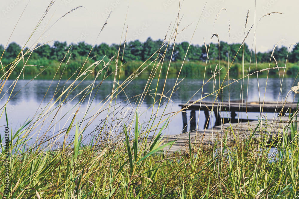 Fototapeta premium Fishing platform on the lake. Wooden pier.