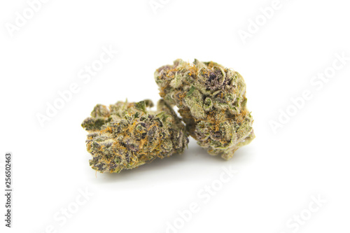 Gelato 5