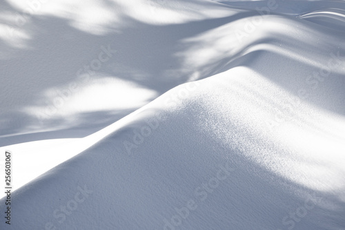 pattern of snow in the Sequoia national park