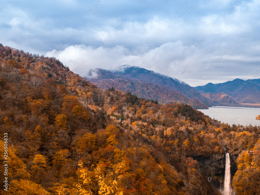 Beautiful autumn tree on mountain and waterfall Beautiful autumn tree on mountain and waterfall