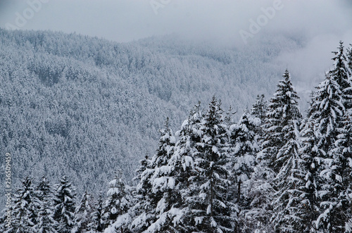 Winterlandschaft in Österreich, Kärnten