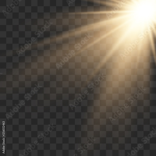 Sunlight lens flare light