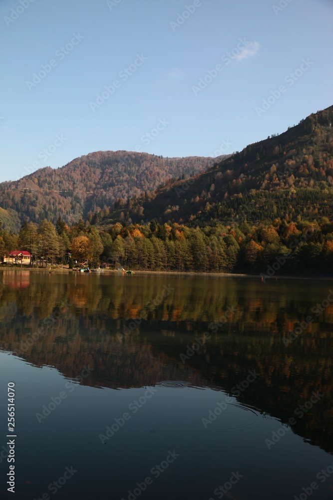 Fototapeta premium Landscape in the forest with a lake.savsat/artvin/turkey