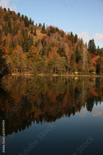 Fototapeta Naklejka Na Ścianę i Meble -  Landscape in the forest with a lake.savsat/artvin/turkey
