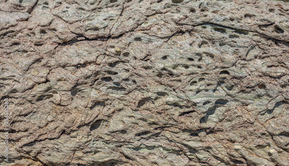 Natural stone background texture, gray green color Natural stone background texture, gray green color