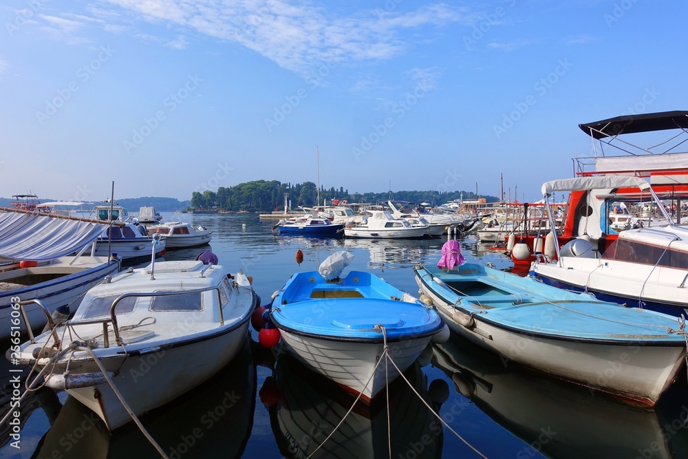 Colorful fishing boats in the harbor in Rovinj, Croatia