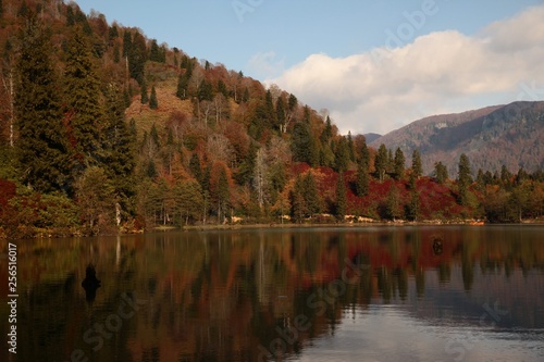Fototapeta Naklejka Na Ścianę i Meble -  Landscape in the forest with a lake.savsat/artvin/turkey