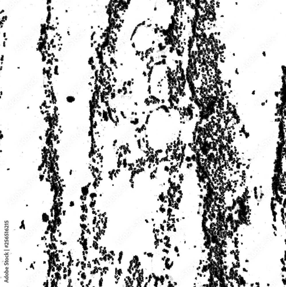 A set of blots on a sheet of paper, strokes, dotted lines. Illustration for packaging, covers, designer bags, clothes, Wallpaper A set of blots on a sheet of paper, strokes, dotted lines. Illustration for packaging, covers, designer bags, clothes, Wallpaper