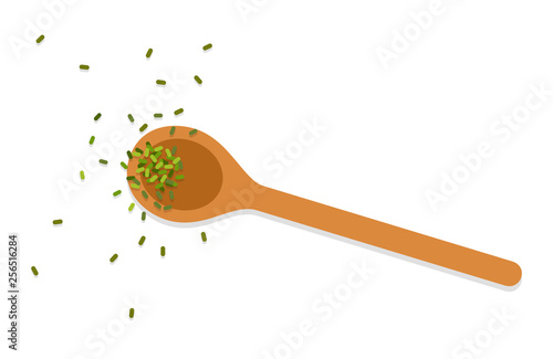 Wooden spoon with spices vector flat isolated