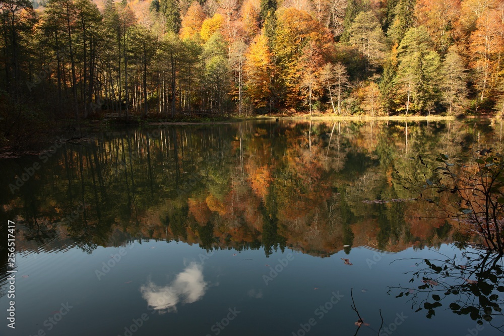 Landscape in the forest with a lake.savsat/artvin/turkey