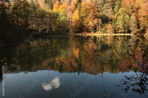 Landscape in the forest with a lake.savsat artvin turkey