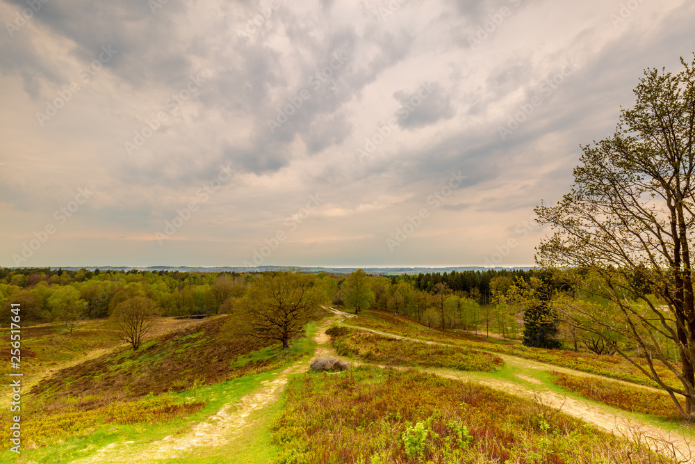 From Boxberg, a mountain in Schleswig Holstein in the Aukrug Nature Park, you have a wide view over the country.