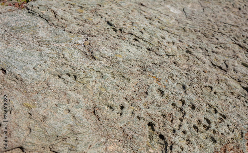 Natural stone background texture, gray green color Natural stone background texture, gray green color