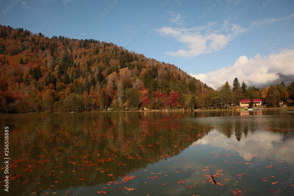 Landscape in the forest with a lake.savsat/artvin/turkey Landscape in the forest with a lake.savsat/artvin/turkey