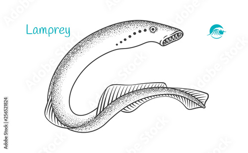 Принти на полотні hand-drawn illustration