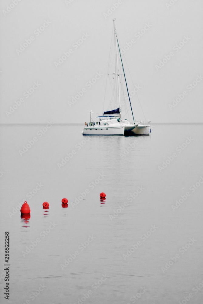 catamarano