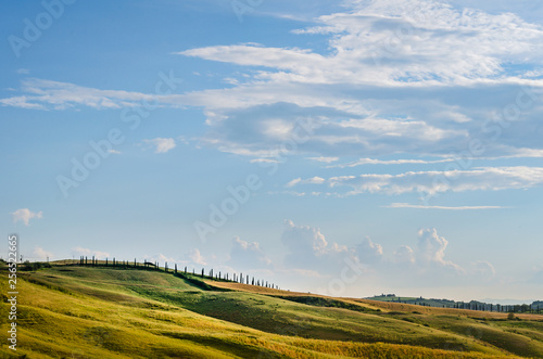 Tuscany landscape with typical hills and cypress trees
