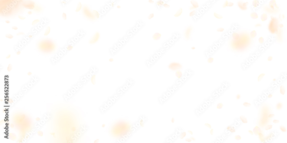 Yellow orange flower petals falling down. Impressi Yellow orange flower petals falling down. Impressi