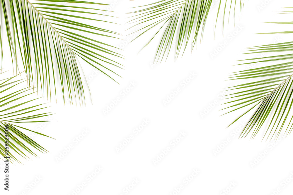 Fototapeta premium Tropical green palm leaves on white background. Flat lay, top view