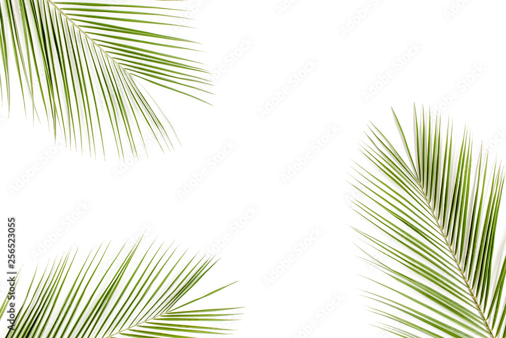 Tropical green palm leaves on white background. Flat lay, top view