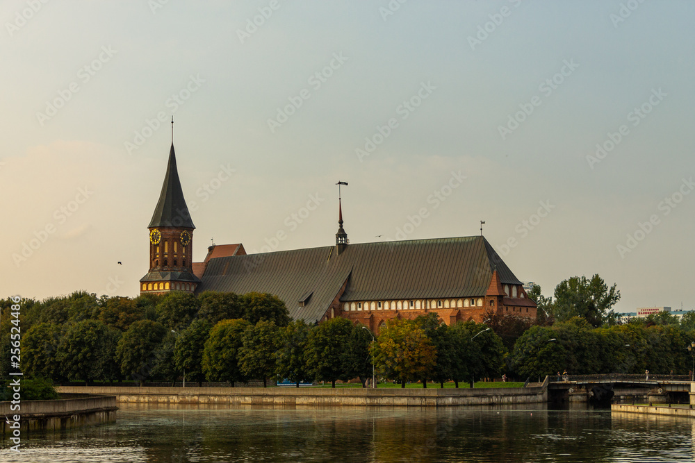 Obraz premium Cathedral