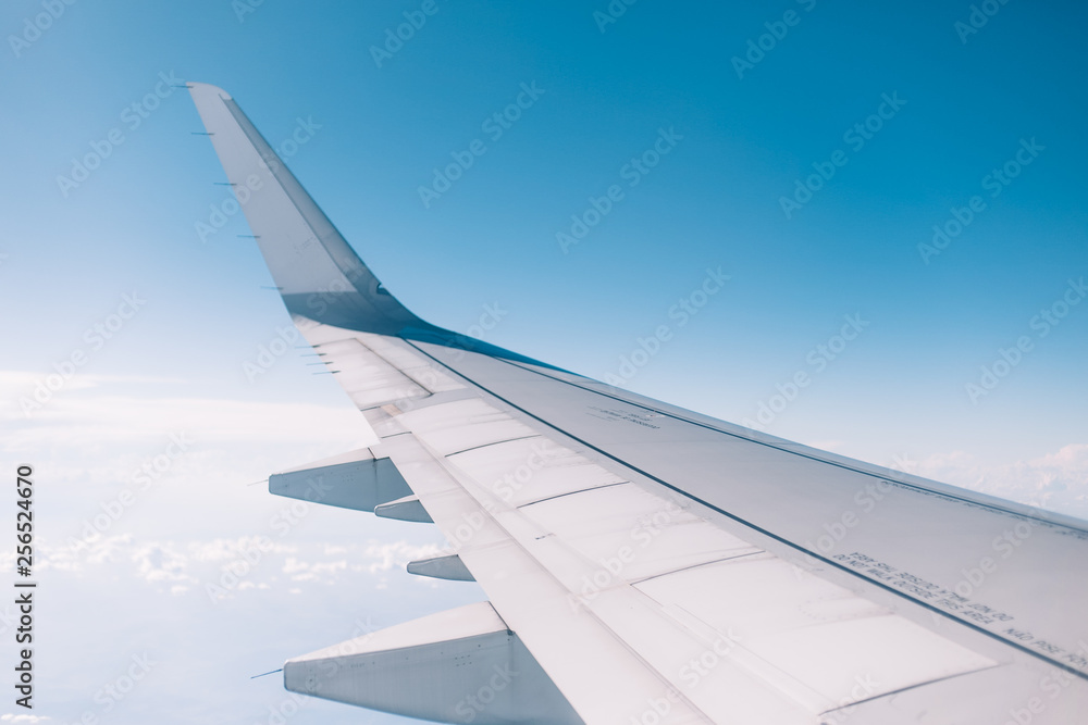 wing wing