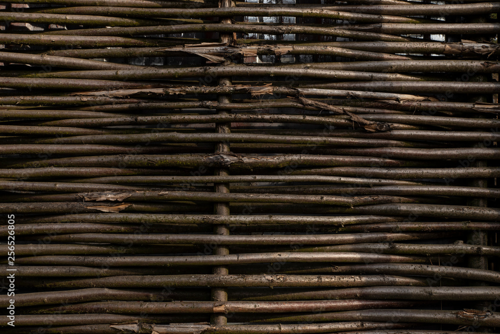 wood texture. background old panels wood texture. background old panels