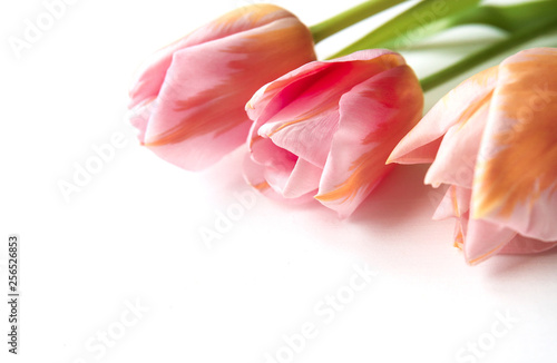Fototapeta Naklejka Na Ścianę i Meble -  Pink tulips on wooden background, copy space