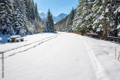 winter in Slovakia Tatra mountains. peaks and trees covered in snow